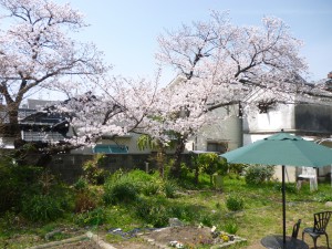 豊中葵岡町デイサービス4